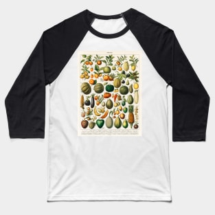 variety of fruits and vegetables Baseball T-Shirt